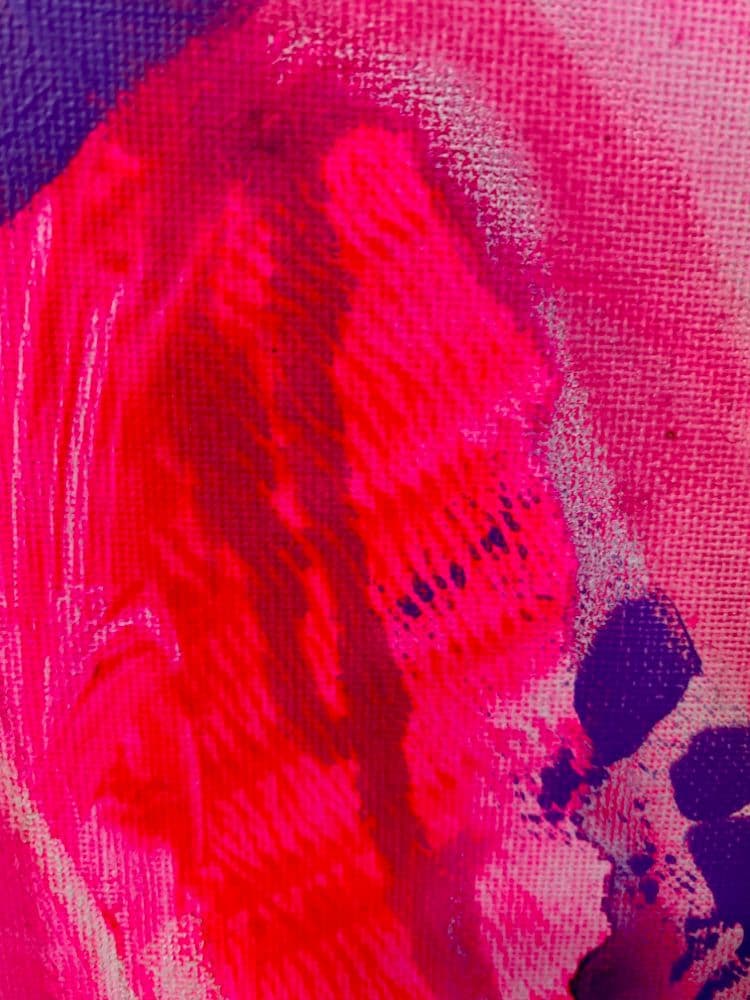 Unicorn — photo 6