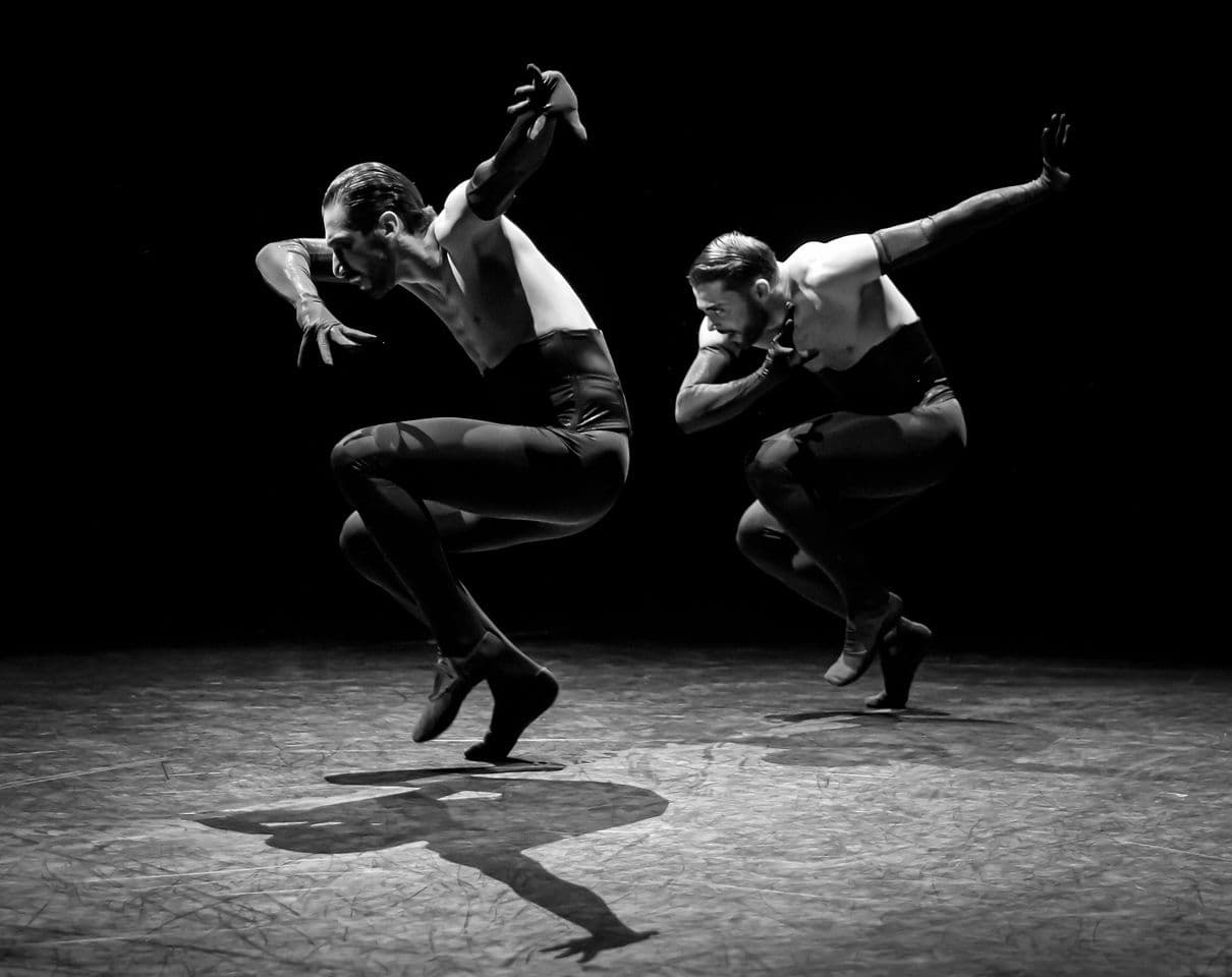 WALTZ — photo 2